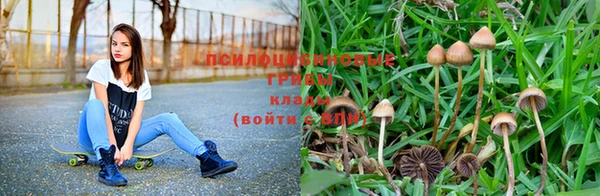 СК Бронницы