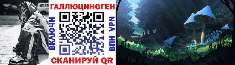 маркетплейс формула  Медногорск  Галлюциногенные грибы GOLDEN TEACHER 